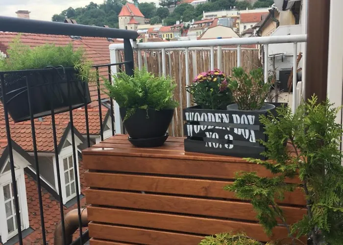 Bastova, Stela & Mia