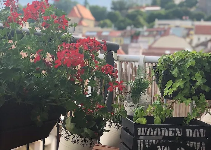 Bastova, Stela & Mia Bratislava